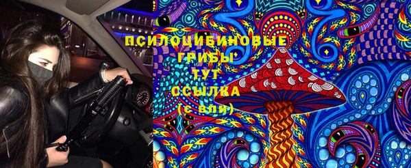 хмурый Аркадак