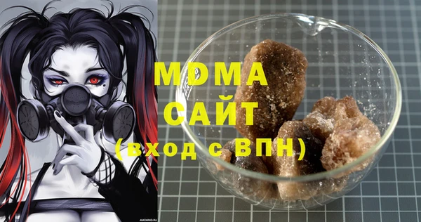 хмурый Аркадак