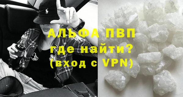 хмурый Аркадак